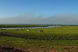 哈克_海拉尔河畔_大漠