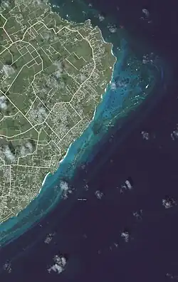 Satellite View of the northern part of Cobblers Reef by NASA.