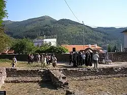 A cartoon centipede reads books and types on a laptop.