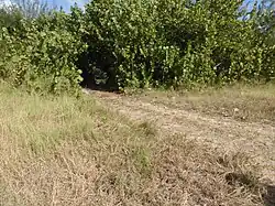 This track can be very muddy after rain.