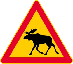 Elk or deer