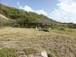 This enormous gun is well within the danger zone. Rich and John are both over 190 cm tall and nearer the camera. The guns were transported overland via a purpose-built railway that is no longer extant. A second barrel was shipped to the site in 1965 and attached and strengthened with external bracing to allow it to be raised from the horizontal.