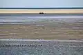 Vast tidal sand flats