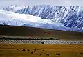 A train on the Qinghai-Tibet Railway